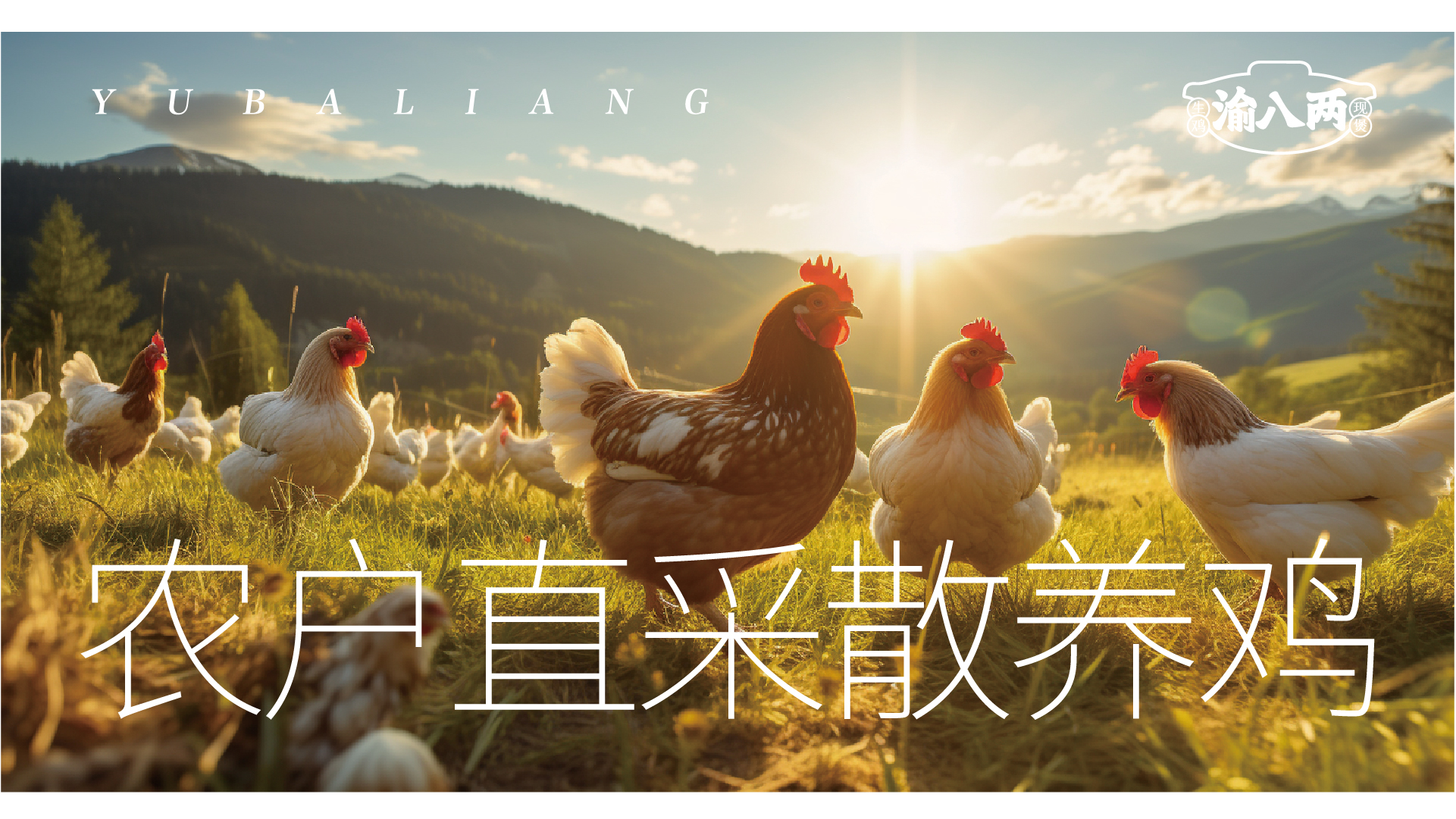 渝八两重庆鸡公煲VI20240111-05.jpg